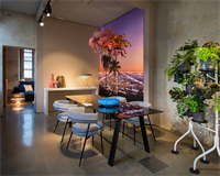 Zanotta_milano-showroom_gallery 02